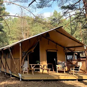 Camp Bursztynowy Campingplatz Danzig